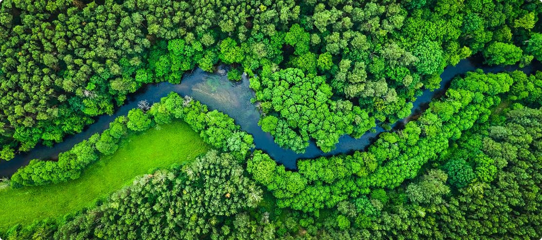 We are sustainable