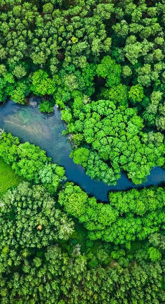 We are sustainable